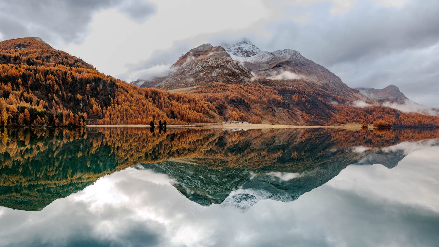 Ruhiger Silsersee mit Bergspiegelung und goldenen Lärchen